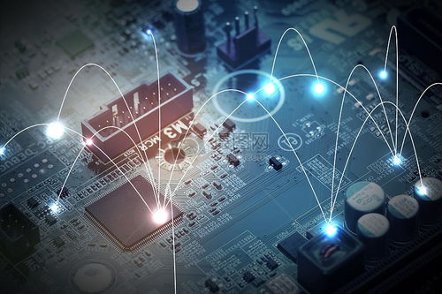 探索知了堂 网络安全专业核心内容与多元发展方向